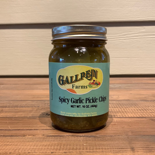 Spicy Garlic Pickle Chips