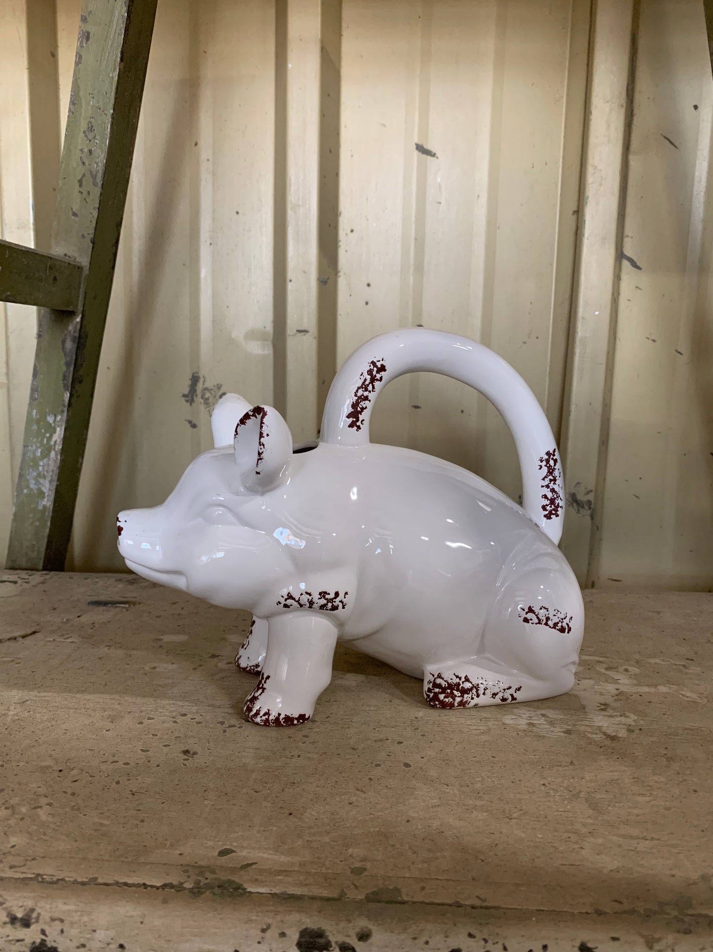 Pig Pitcher